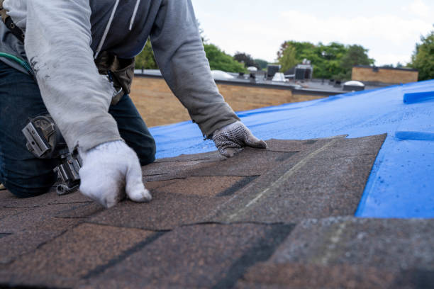 Best Local Roofing Companies  in Las Palmas Ii, TX